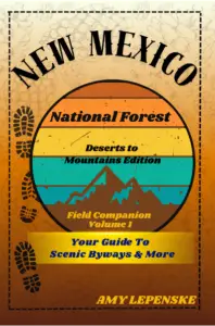 #1 in New Mexico Travel (Nov 2025)