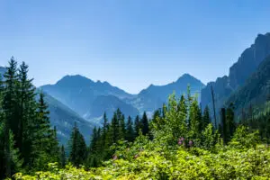 view of the Polish Tatra Mountains against the backdrop of green