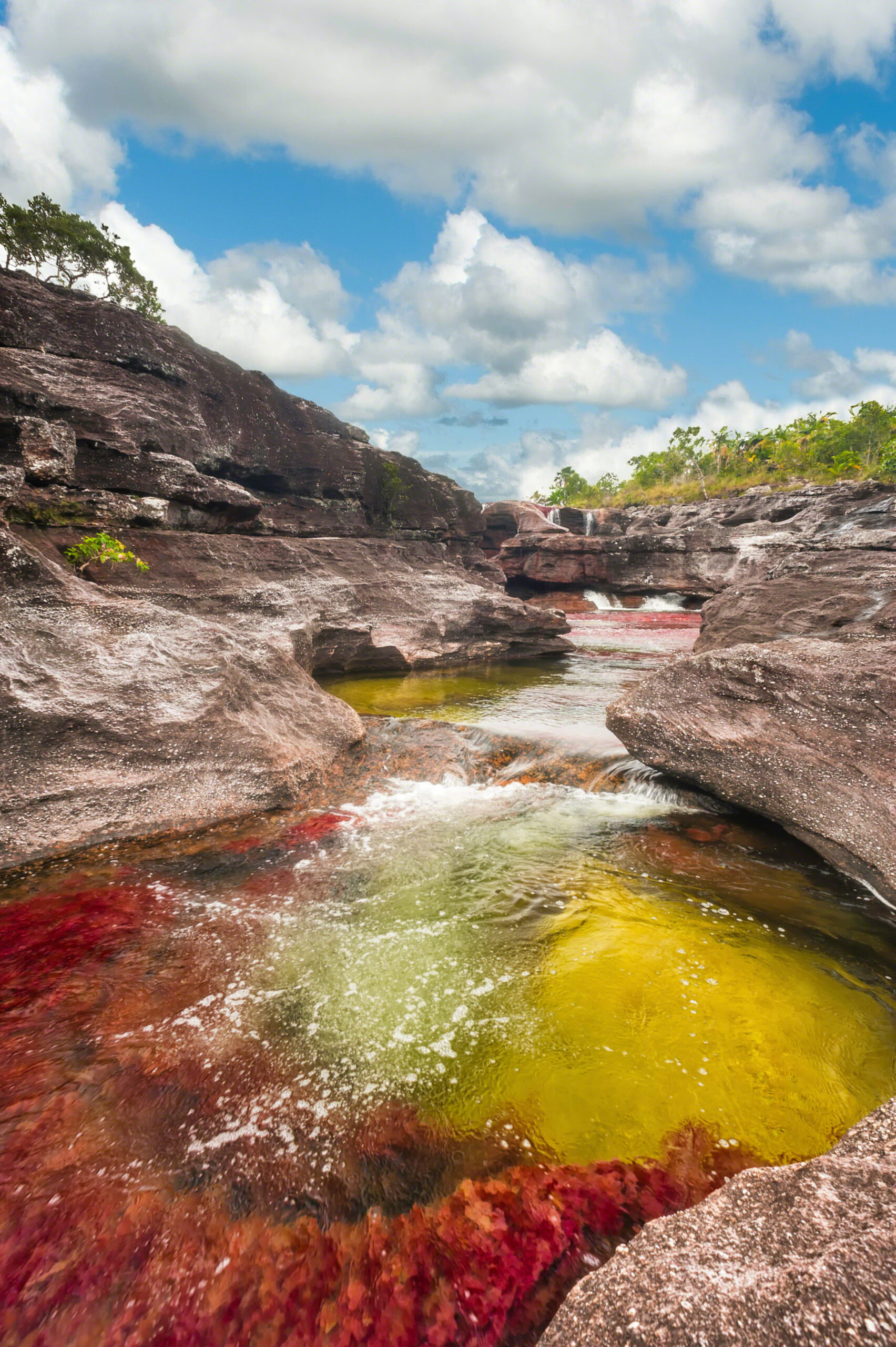 Tal vez el lugar más fantástico de Caño Cristales, por sus formaciones rocosas. Fotografía: Mario Carvajal (www.mariocarvajal.com), Licenciada con Creative Commons 3.0 Unported, usted puede usar esta imagen en cualquier proyecto, inclusive con fines comerciales, siempre y cuando otorgue el crédito de autoría y el vínculo hacia el proyecto www.cano-cristales.com.